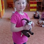 phoca_thumb_m_zajci a zvtka 27 Fotogalerie